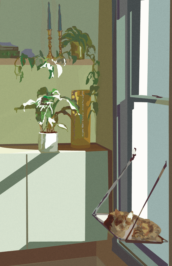 Illustration of a cat sleeping by a window with houseplants
