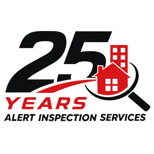 AIS 25 years anniversary graphic