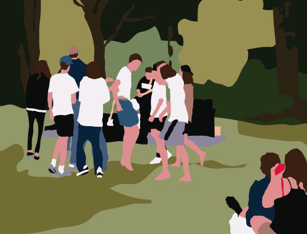 Vector illustration of a group gathered in a park