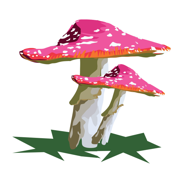 Illustration of pink spotted mushrooms